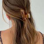 Crystal brown clip - SCG_COLLECTIONSAccessory